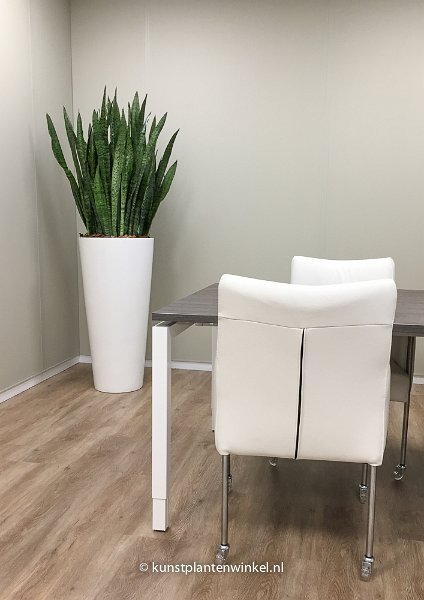 mekelenkamp plantenman project feramed solid sansevieria -3239